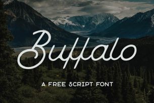 Buffalo is a loopy & quirky monoline script font from Hustle Supply Co.